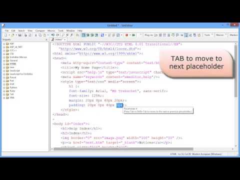 EmEditor Professional Snippets plug-in [HD]