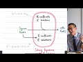 Complex Numbers and Nth Roots