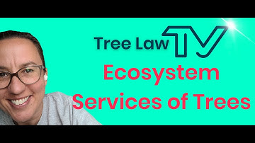 Ecosystem Services of Trees