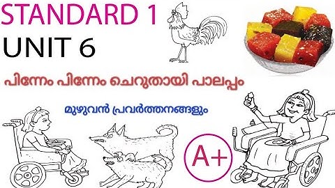 Class 1 malayalam unit 6 pinnem pinnem cheruthai palappam activities|kerala syllabus 2025|Standard1