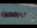 Fort Lauderdale To Crack Down On Spring Breakers Breaking The Rules 