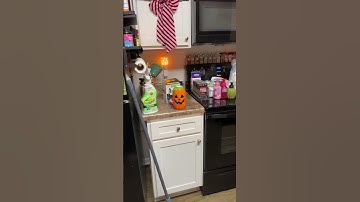 Decluttering and organizing our pantry #declutter #cleaningvideos #cleaningmotivation #organizedhome