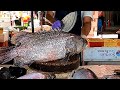 Giant Grouper and Milkfish Cutting in Taiwan Harbor