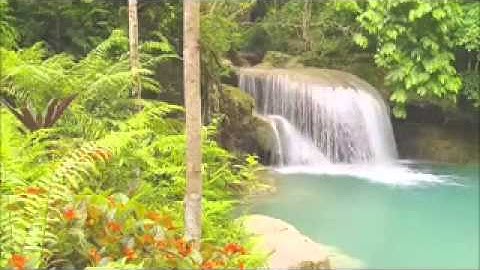 سورة الأنبياء تلاوة عبدالرحمن جمال العوسي