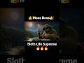 Moss Boss - Sloth Life Supreme! #sloth #animals #music