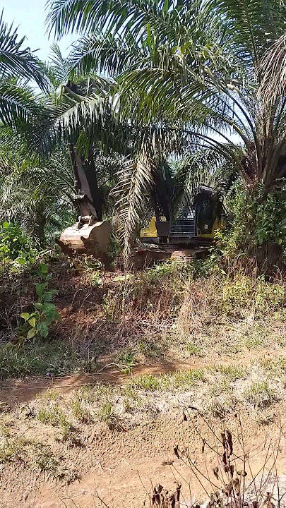 Belalai nya panjang dan besar