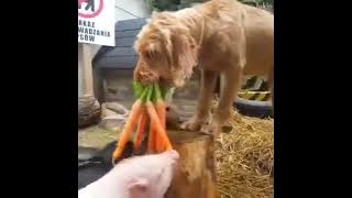 0916 ÅMÂŹƏ & 🐈ƁĒųťïFŲL🐓 Ŋâțųřę 🦆ÎŊ 🦈ẄØŔŁƊ🐦