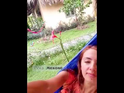 Как использовать семена