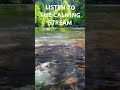 LIsten to the Peaceful Sound of This Forest Stream