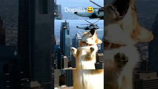 Godzilla or Dogzilla...? 🤔 #shorts #shortsfeed