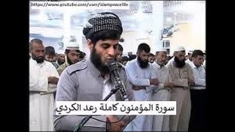 سورة المؤمنون للقارئ الشيخ رعد الكردى