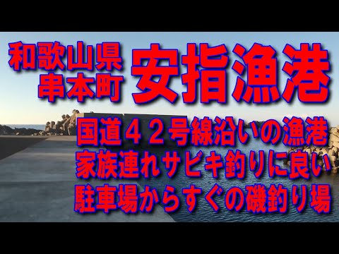 #44和歌山県串本町安指漁港あざし海亀が優雅に泳いでいます車横付け釣り出来ます波止が低いので安全ファミリー家族連れサビキ釣りに良い駐車場からすぐの磯釣り場堤防アジング釣りポイント釣りスポット