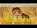 Сегодня проси у нее что хочешь! Молитва Богородице