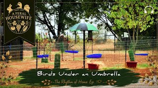 Birds Under an Umbrella | A Rainy Day on the Homestead | The Rhythm of Home Ep. 10