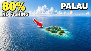How People Live in Palau | The Tiny Pacific Paradise That Protects 80% of Its Ocean | 4K Travel