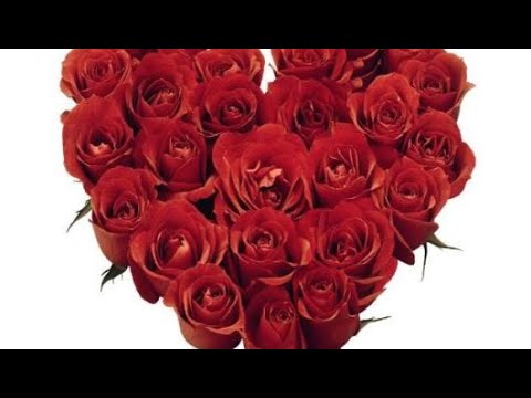 الحب العذري