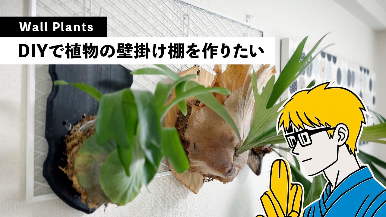 【賃貸OK】【簡単】DIYでビカクシダの壁掛けを作る！インテリア性もありオシャレな部屋に。