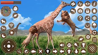 Wild Cougar Sim 3D Android Gameplay #trending #games #gaming #geometrydash #gamingvideos #gameplay screenshot 4