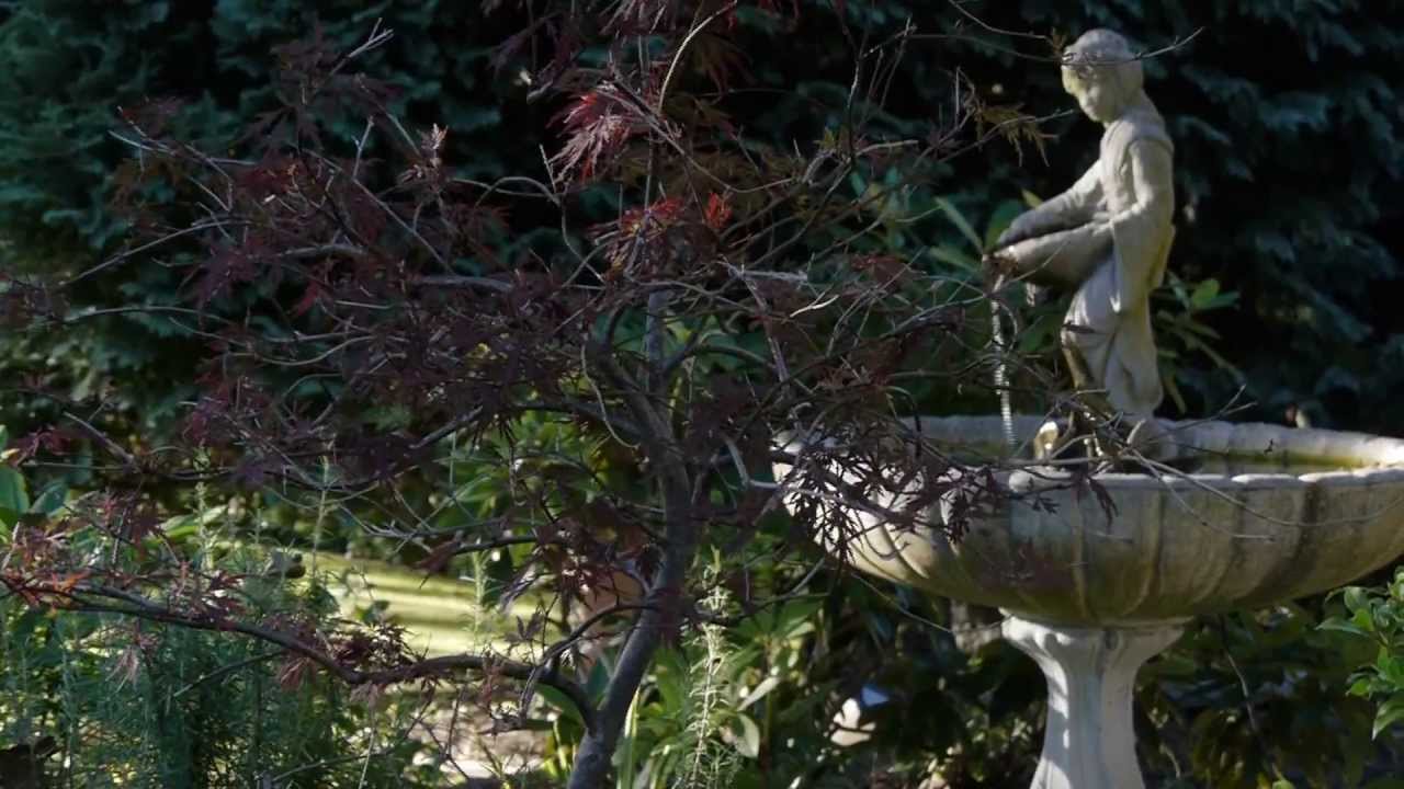 Oak Bay | Cadboro Bay | Victoria Real Estate