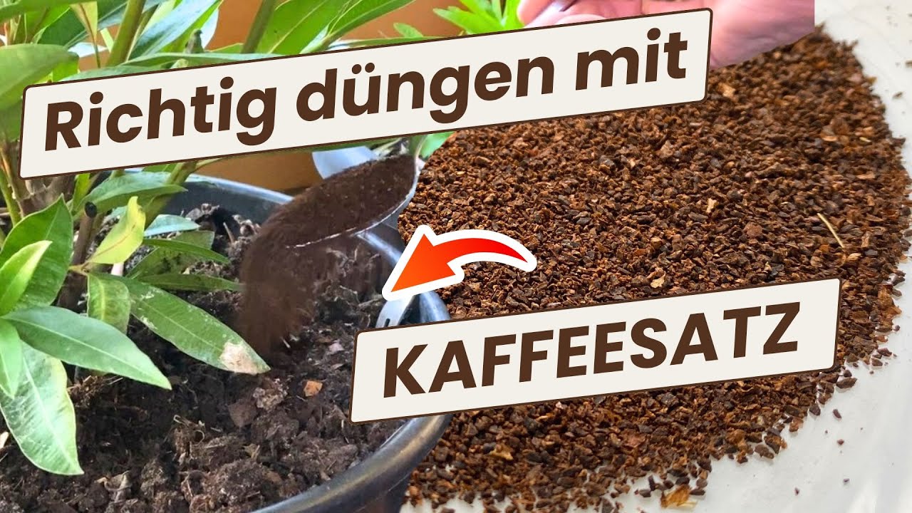 Kaffeesatz: So vermeidest du typische Dnge-Fehler