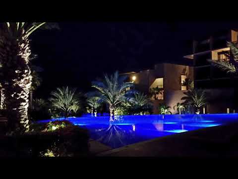 King Kooba - Dreaming of You