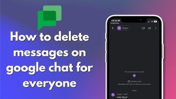 How to delete messages on google chat for everyone 2024