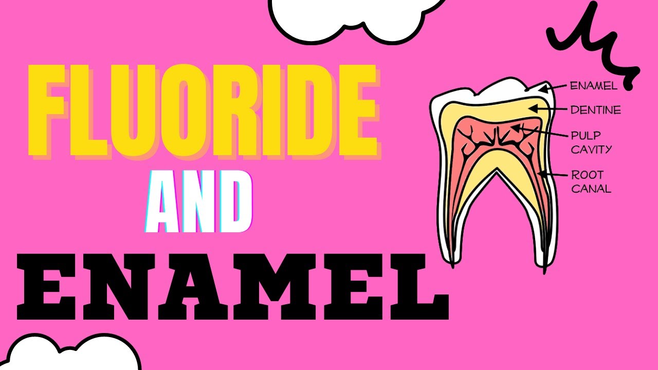 FLUORIDE EFFECTS ON ENAMEL EXPLAINED! YouTube