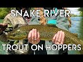 Epic Snake River Hopper Fishing