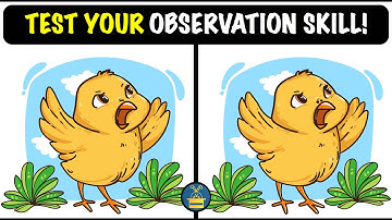 Spot the Difference Puzzles! (HARD) | Quiz Game | Test Your Observation Skills!