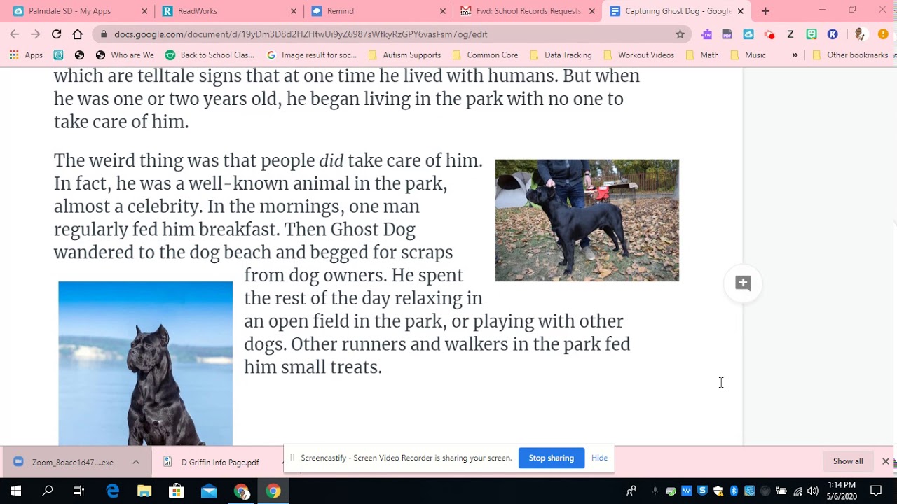 Screencastify Readworks: Capturing Ghost Dog: May 6, 2020 1:20 PM - YouTube