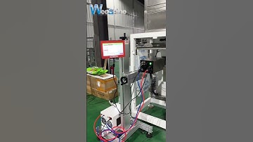 Our WPV200 salt packing machine + laser coder combo = clean, efficient, traceable packaging!