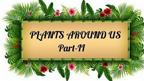 PLANTS AROUND US (Part - II)