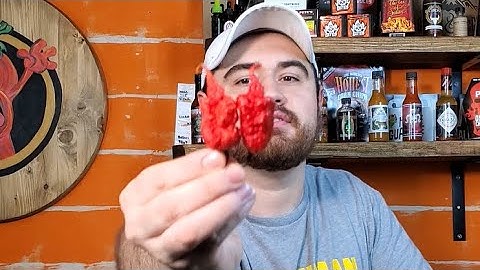 Pepper Sends Me in to The 4th Dimension.