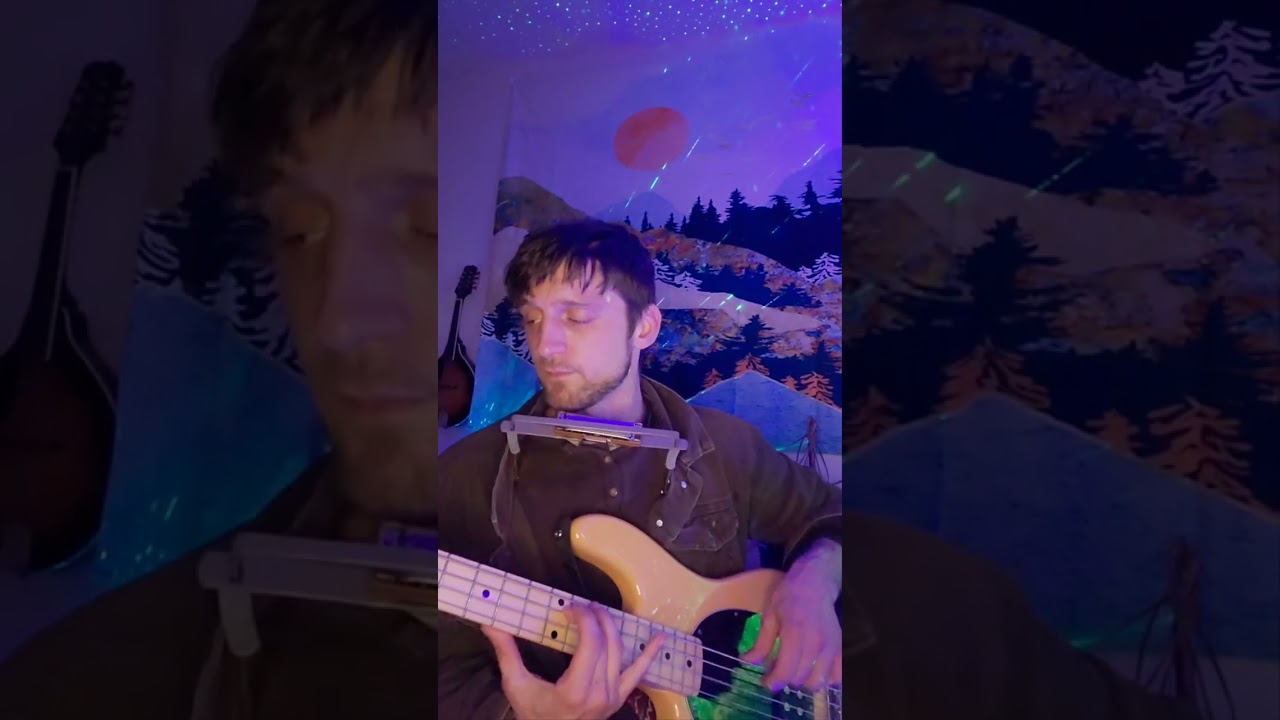 Bass + Harmonica Song