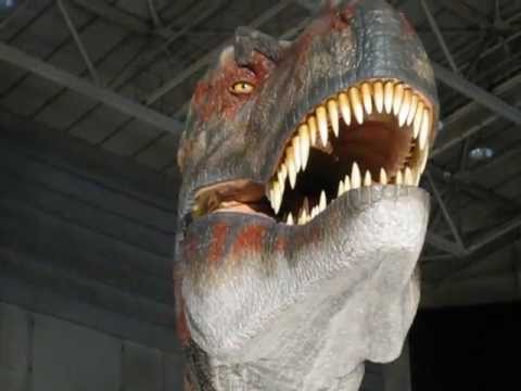 ヨコハマ恐竜展2012　動く恐竜タルボサウルス（２）