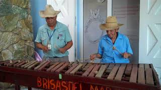 Xylophone-like instrument in Roatan, Honduras
