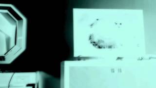 FNAF 6000000
