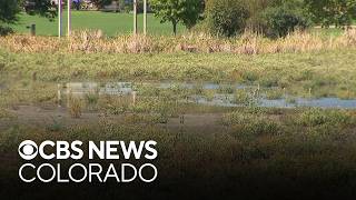 Huston Lake in Denver virtually disappeared leaving neighbors concerned about its future