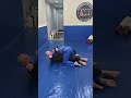 Reverse Kimura from Half Guard  #bjj #jiujitsu