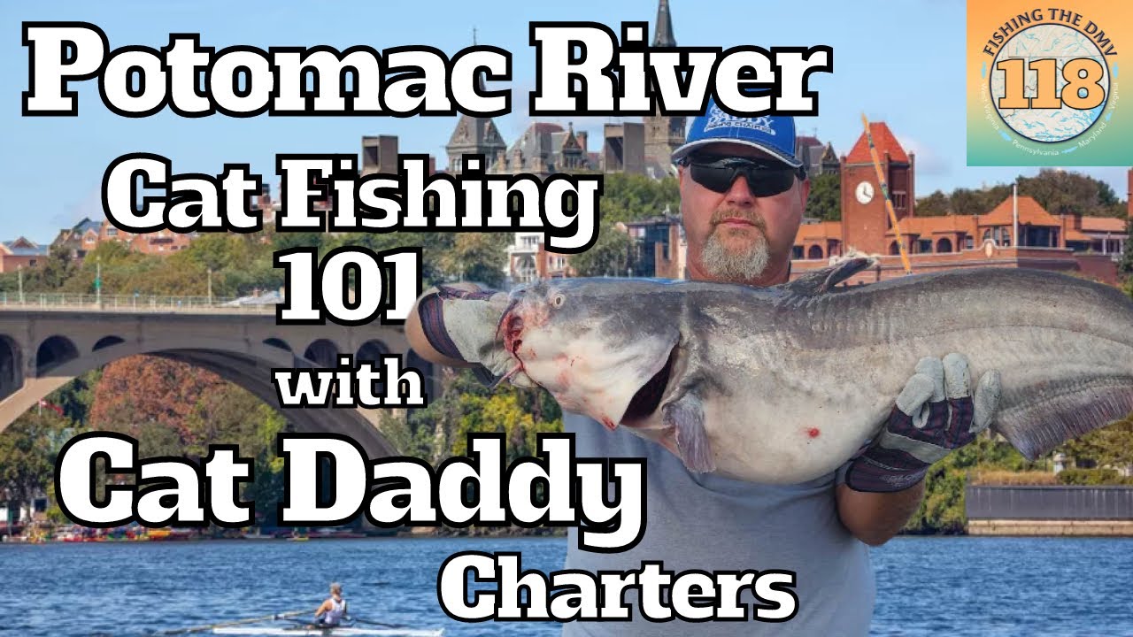 Cat Fishing 101 with Cat Daddy Fishing Charters LLC YouTube