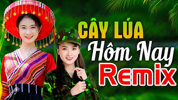 HÁT VỀ CÂY LÚA HÔM NAY REMIX - LK Nhạc Đỏ Cách Mạng Kháng Chiến Remix Bass Căng Bốc Lửa