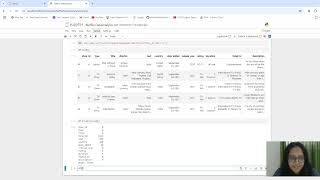 Famous Netflix Data - Simple EDA in Python Net Worth