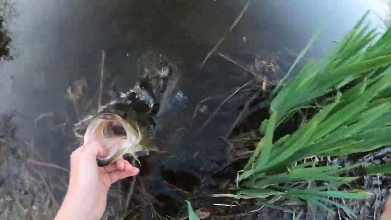 First Bass fishing on Big Dresh