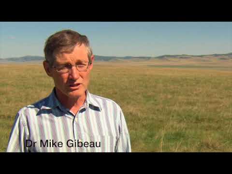 Preserving our heritage - youtube