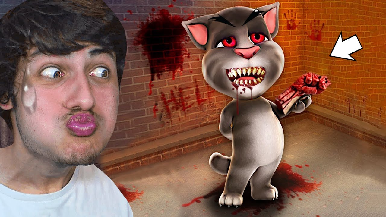 JE N'AURAIS JAMAIS DU ADOPTER CE CHAT MAUDIT... (je regrette)