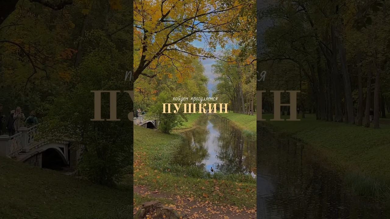 Denis Stelmakh - Ever After | 📍Пушкин