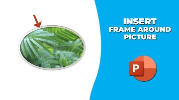 How to insert a frame around a picture in PowerPoint