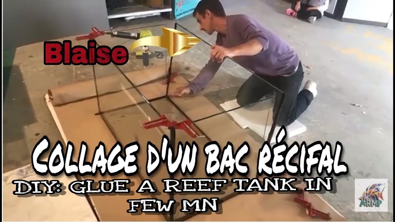 DIY COMMENT COLLER UN AQUARIUM TERRARIUM PALUDARIUM, RECIFAL OU EAU