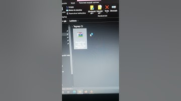 The Sims 4 WickedWhims Mods problem.. 2021