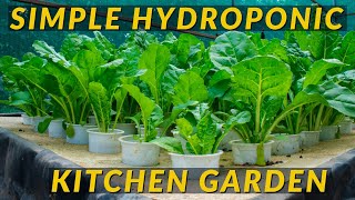 How to Grow leafy Vegetables using Cheap/Affordable Hydroponic System